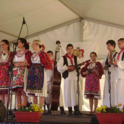 Biseri Drave