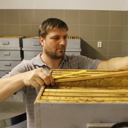 Méz – kiszerelő üzem kialakítása