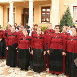 Villányi Német Nemzetiségi Kulturális Egyesület